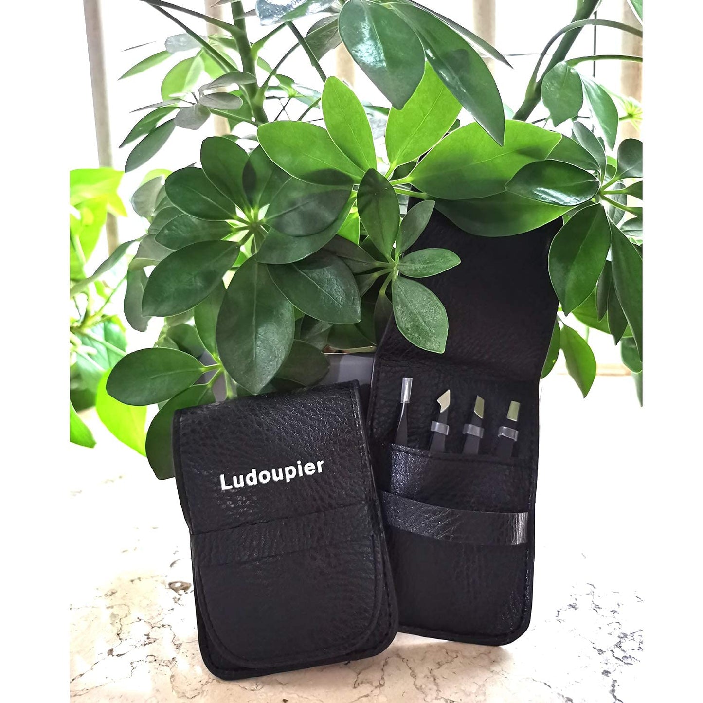 [4+1 Pieces] Tweezers Set with Travel Case, Great Precision Upgrade Professional Anti-Rust Alloy Tweezers for Women & Men Multi-Purpose as Eyebrows Facial Hair Ingrown Hair Removal